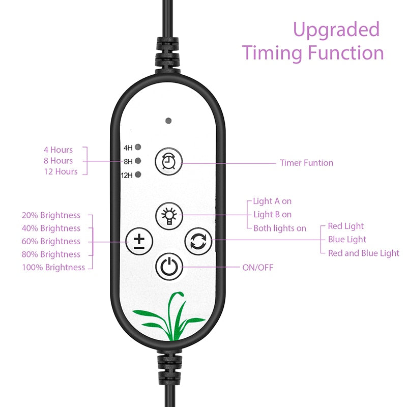 Watch Me Grow L.E.D Flower Home Tent Gift